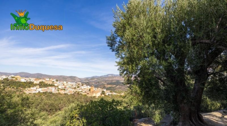 Granada - Падуль - 15000m2