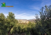 Chalet independiente con terreno en venta en la España, Talará, ref: TR389573 foto