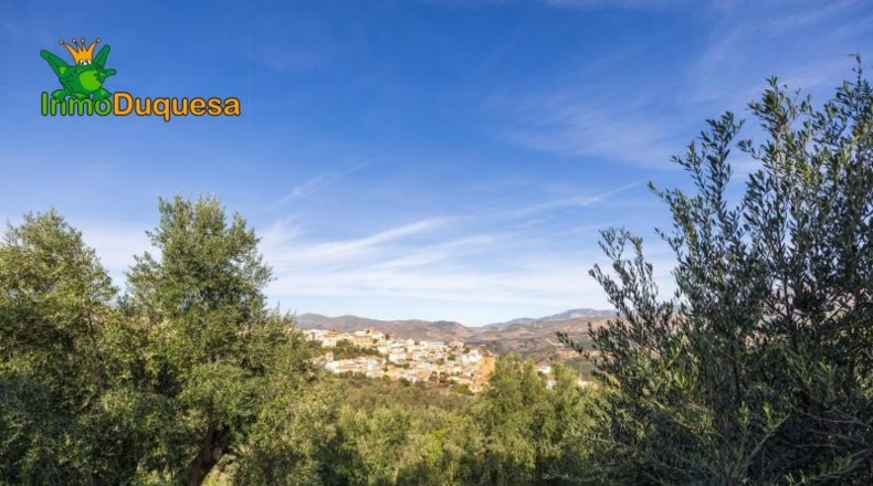Granada - Падуль - 15000m2