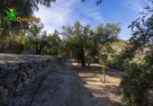 Chalet independiente con terreno en venta en la España, Talará, ref: TR389573 foto