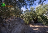 Chalet independiente con terreno en venta en la España, Talará, ref: TR389573 foto