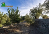 Chalet independiente con terreno en venta en la España, Talará, ref: TR389573 foto