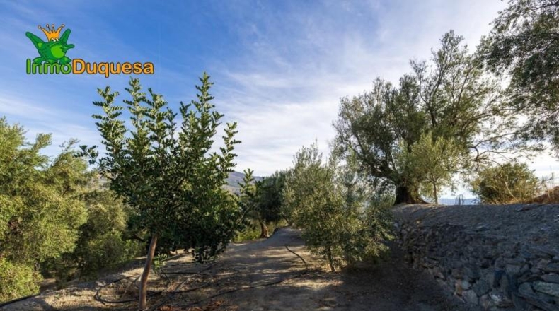 Granada - Падуль - 15000m2