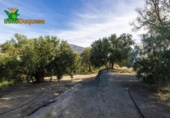 Chalet independiente con terreno en venta en la España, Talará, ref: TR389573 foto