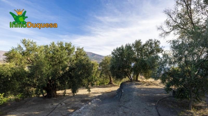 Granada - Падуль - 15000m2