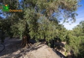 Chalet independiente con terreno en venta en la España, Talará, ref: TR389573 foto