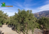 Chalet independiente con terreno en venta en la España, Talará, ref: TR389573 foto