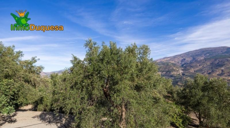 Granada - Падуль - 15000m2