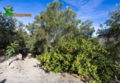 Chalet independiente con terreno en venta en la España, Talará, ref: TR389573 foto