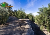 Chalet independiente con terreno en venta en la España, Talará, ref: TR389573 foto