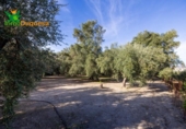 Chalet independiente con terreno en venta en la España, Talará, ref: TR389573 foto