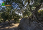 Chalet independiente con terreno en venta en la España, Talará, ref: TR389573 foto
