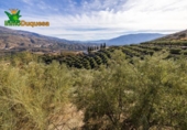 Chalet independiente con terreno en venta en la España, Talará, ref: TR389573 foto