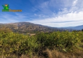 Chalet independiente con terreno en venta en la España, Talará, ref: TR389573 foto