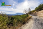Chalet independiente con terreno en venta en la España, Talará, ref: TR389573 foto