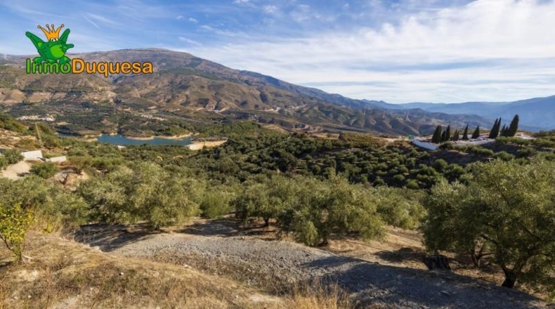 Granada - Падуль - 15000m2