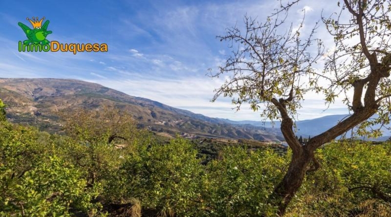Granada - Падуль - 15000m2