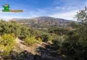 Chalet independiente con terreno en venta en la España, Talará, ref: TR389573 foto
