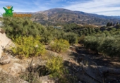 Chalet independiente con terreno en venta en la España, Talará, ref: TR389573 foto