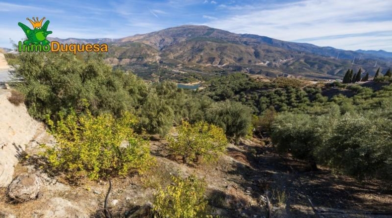 Granada - Падуль - 15000m2
