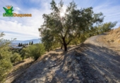 Chalet independiente con terreno en venta en la España, Talará, ref: TR389573 foto