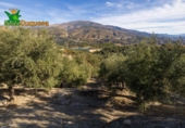 Chalet independiente con terreno en venta en la España, Talará, ref: TR389573 foto
