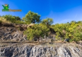Chalet independiente con terreno en venta en la España, Talará, ref: TR389573 foto