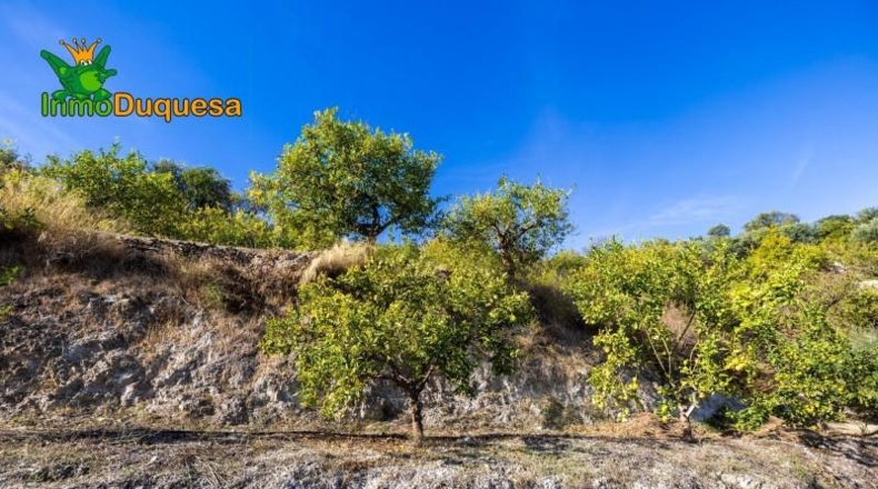 Granada - Падуль - 15000m2