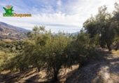 Chalet independiente con terreno en venta en la España, Talará, ref: TR389573 foto