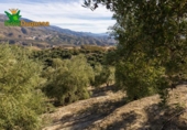 Chalet independiente con terreno en venta en la España, Talará, ref: TR389573 foto