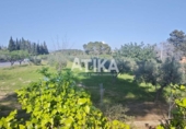 Detached villa with land for sale on España, Ontinyent, ref: TR364304 photo