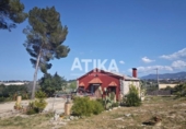 Detached villa with land for sale on España, Ontinyent, ref: TR364304 photo