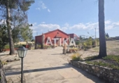 Detached villa with land for sale on España, Ontinyent, ref: TR364304 photo