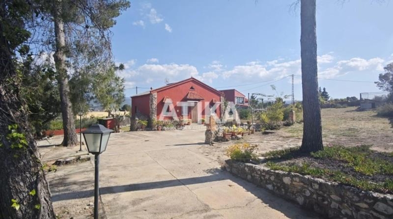 Валенсия - Ontinyent - 7015m2