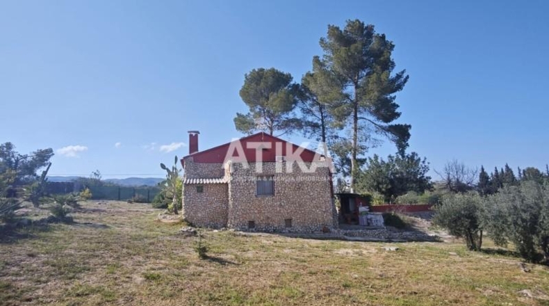 Валенсия - Ontinyent - 7015m2