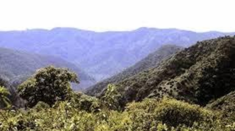 Córdoba - Fuente Obejuna - 409m2