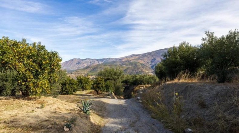 Granada - Talará - 15000m2