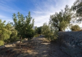 Parcela urbanizable en venta en la España, Talará, ref: TR359597 foto