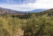 Parcela urbanizable en venta en la España, Talará, ref: TR359597 foto
