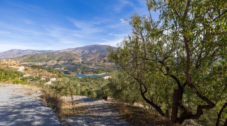 Granada - Talará - 15000m2