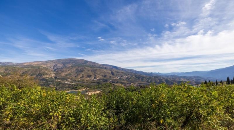 Granada - Talará - 15000m2
