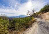 Parcela urbanizable en venta en la España, Talará, ref: TR359597 foto