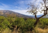 Parcela urbanizable en venta en la España, Talará, ref: TR359597 foto