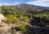 Parcela urbanizable en venta en la España, Talará, ref: TR359597 foto
