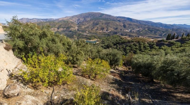 Granada - Talará - 15000m2