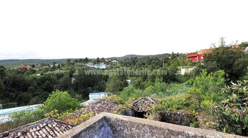 Santa Cruz de Tenerife - Icod de los Vinos - 1241m2