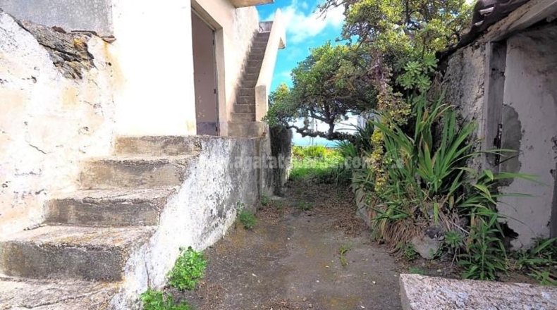 Santa Cruz de Tenerife - Icod de los Vinos - 1241m2