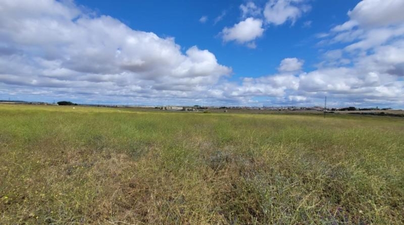 Huelva - Isla Cristina - 48838m2