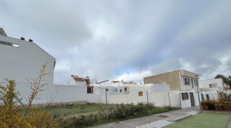 Córdoba - Lucena - 270m2