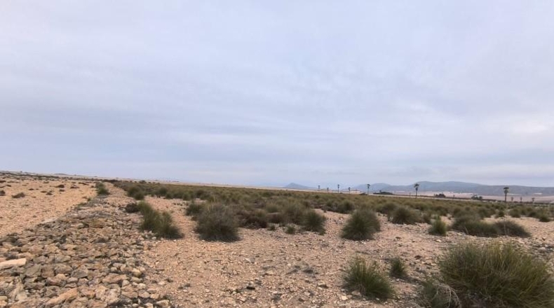 Valencia - Valencia - 95000m2